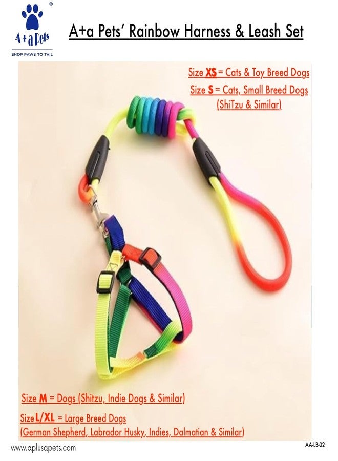 A+a Pets' Harness and Leash Set, Colourful Combo in Rainbow for Cats and Dogs (S, Rainbow) - Image 4